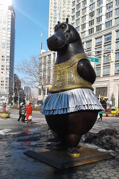 New York Exchange Program