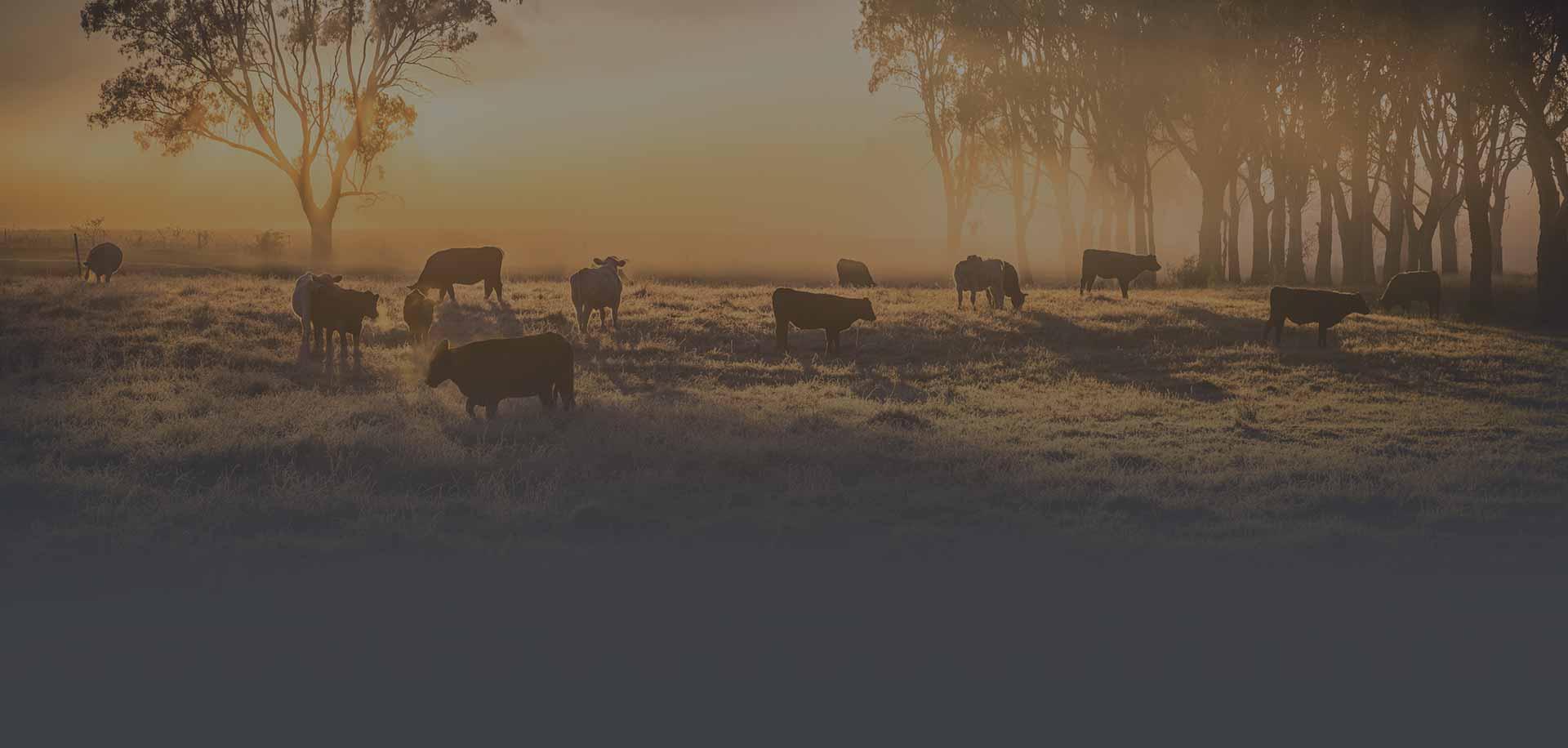 Travel and work in Canada